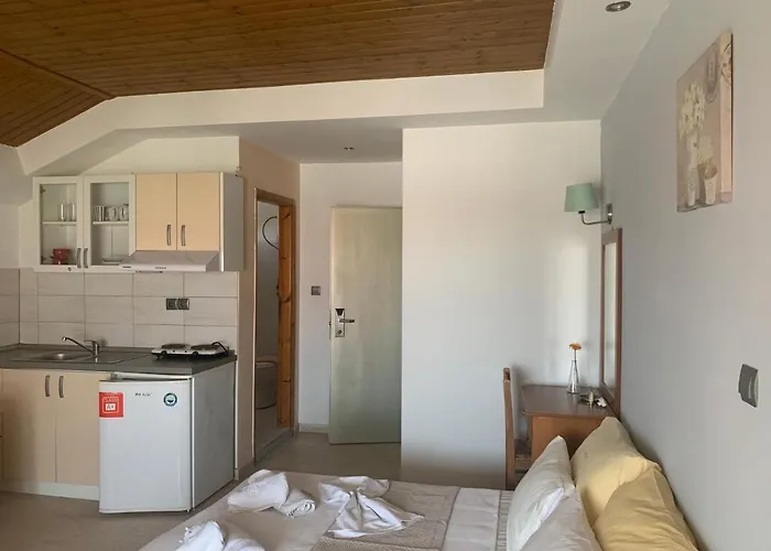 Platon Hotel Néoi Póroi