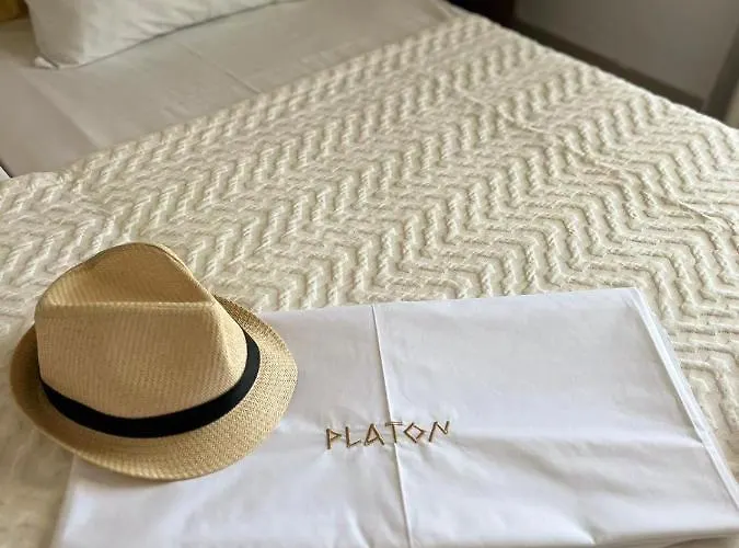 Platon Hotel Néoi Póroi